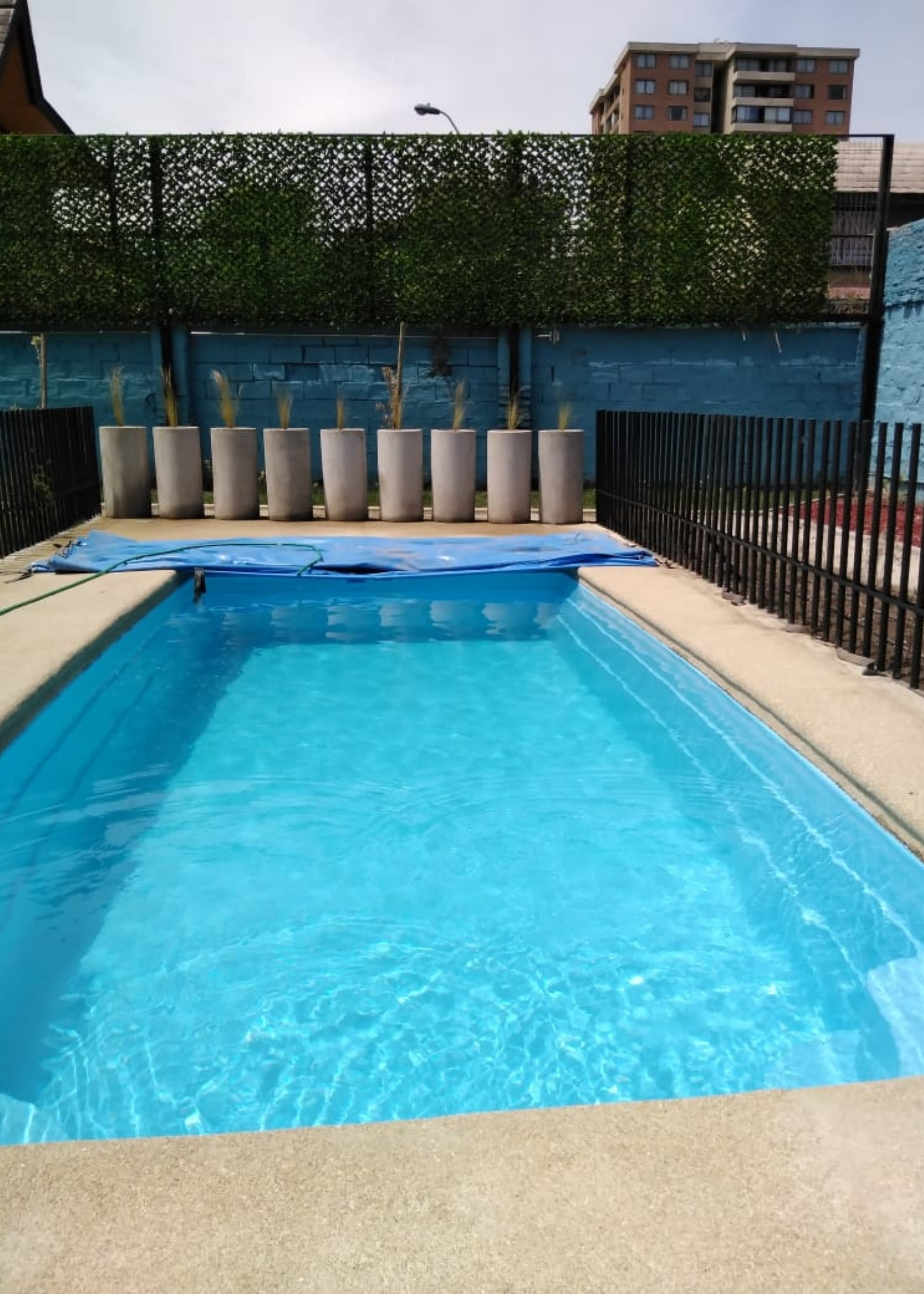 Piscina y jardín