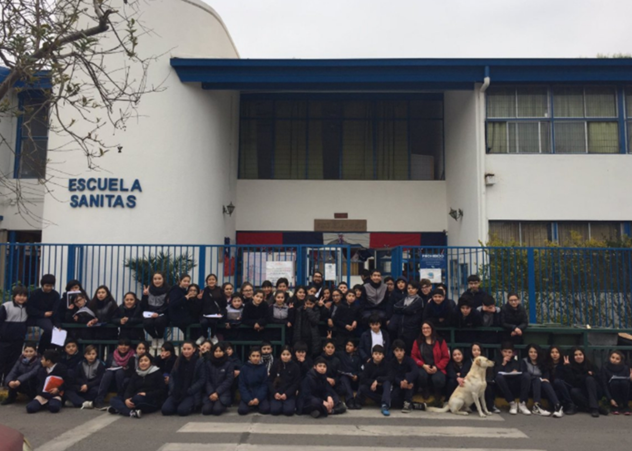 Pintura Escuela Sanitas